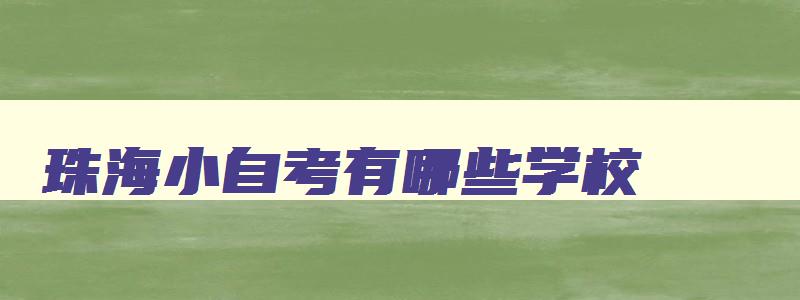 珠海小自考有哪些学校 珠海自考大专学校有哪些 珠海小自考有哪些学校 珠海自考大专学校有哪些