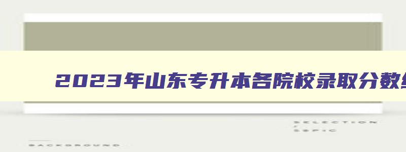 2024年山东专升本各院校录取分数线已公布 山东省2024年专升本录取分数线是多少 2024年山东专升本各院校录取分数线已公布 山东省2024年专升本录取分数线是多少