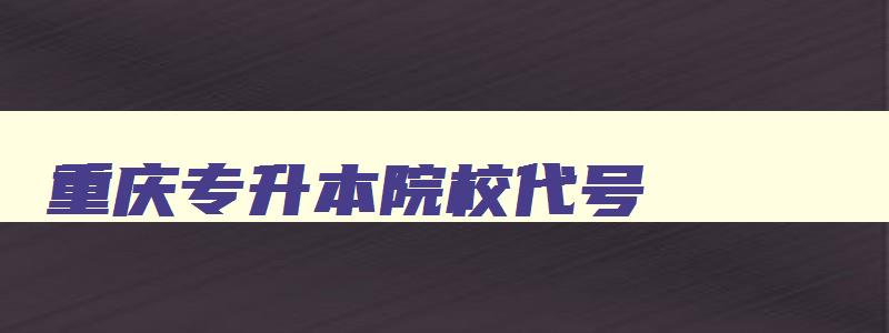 重庆专升本院校代号 2024重庆专升本的学校及专业代码 重庆专升本院校代号 2024重庆专升本的学校及专业代码