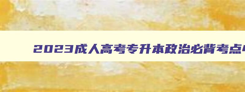 2024成人高考专升本政治必背考点43条 成人高考专升本政治考试大纲 2024成人高考专升本政治必背考点43条 成人高考专升本政治考试大纲