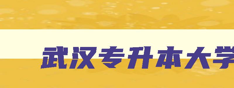 武汉专升本大学生 武汉专升本政策 武汉专升本大学生 武汉专升本政策