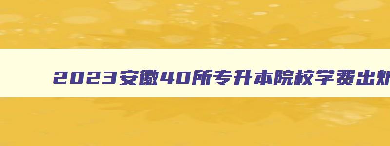2024安徽40所专升本院校学费出炉 2024年安徽专升本学费 2024安徽40所专升本院校学费出炉 2024年安徽专升本学费
