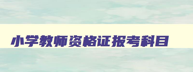 小学教师资格证报考科目 小学教师资格证报考科目选择 小学教师资格证报考科目 小学教师资格证报考科目选择
