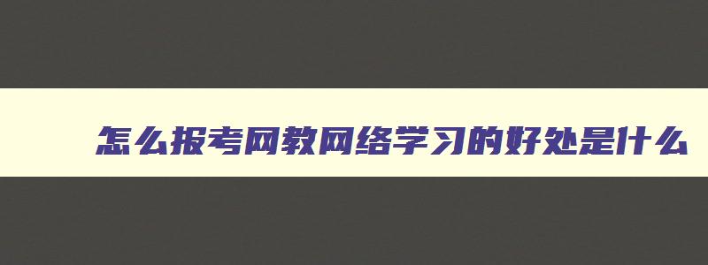 怎么报考网教网络学习的好处是什么 网络教育怎么报名条件 怎么报考网教网络学习的好处是什么 网络教育怎么报名条件