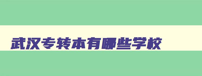 武汉专转本有哪些学校 武汉专升本有哪些学校名单 武汉专转本有哪些学校 武汉专升本有哪些学校名单
