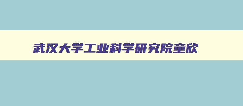 武汉大学工业科学研究院童欣 武汉大学童教授 武汉大学工业科学研究院童欣 武汉大学童教授