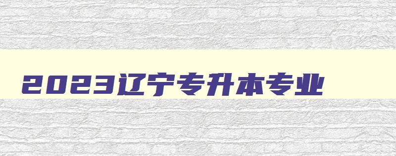 2024辽宁专升本专业 2024辽宁专升本专业就业情况 2024辽宁专升本专业 2024辽宁专升本专业就业情况