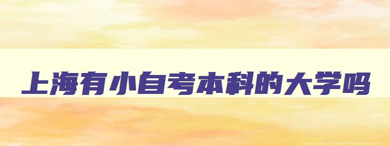 上海有小自考本科的大学吗 上海有小自考本科的大学吗推荐 上海有小自考本科的大学吗 上海有小自考本科的大学吗推荐