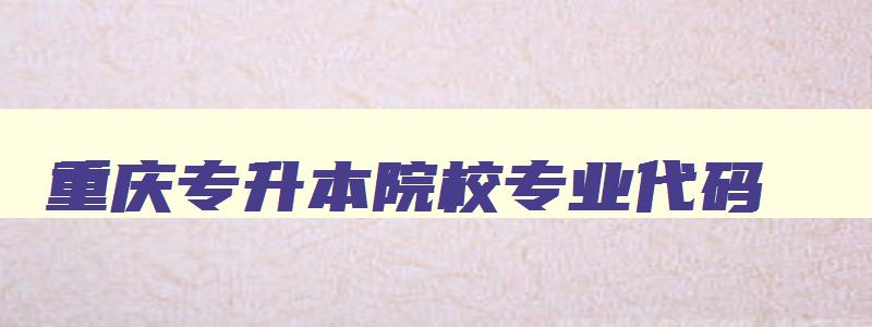 重庆专升本院校专业代码 重庆专升本可填报学校与专业查询系统 重庆专升本院校专业代码 重庆专升本可填报学校与专业查询系统