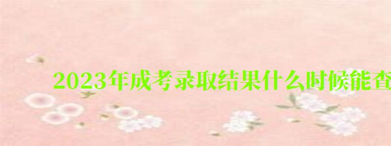 2024年成考录取结果什么时候能查(2024年成考录取结果什么时候能查到) 2024年成考录取结果什么时候能查(2024年成考录取结果什么时候能查到)