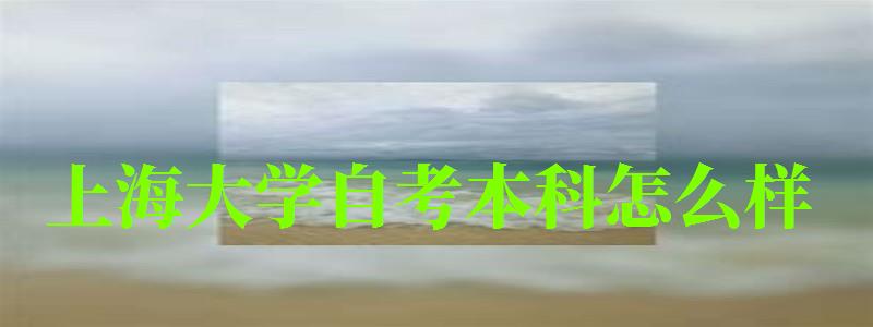 上海大学自考本科怎么样(上海大学自考本科怎么样啊) 上海大学自考本科怎么样(上海大学自考本科怎么样啊)