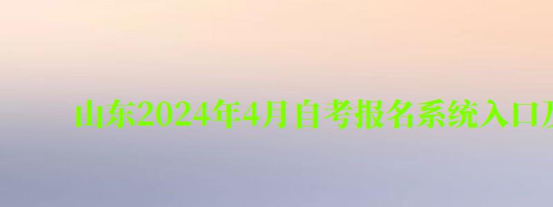 山东2024年4月自考报名系统入口及网址（山东省2024年4月自考报名时间）