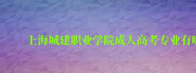 上海城建职业学院成人高考专业有哪些