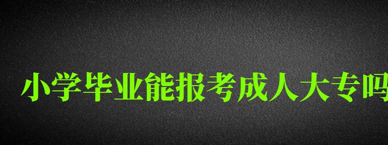 小学毕业能报考成人大专吗 小学毕业能报考成人大专吗
